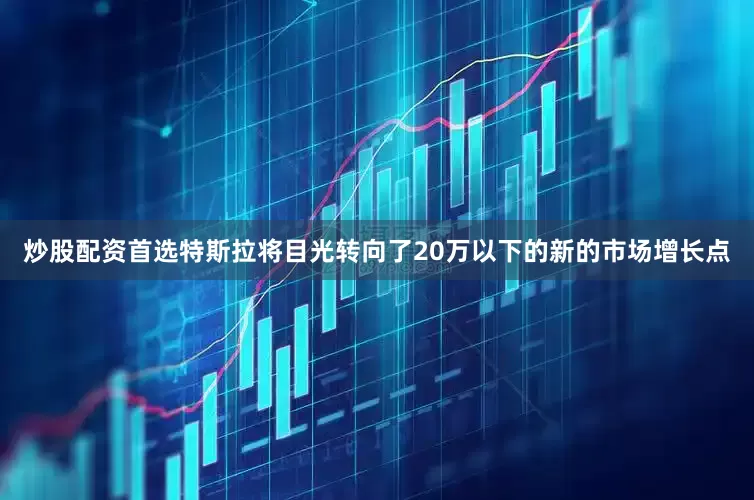 炒股配资首选特斯拉将目光转向了20万以下的新的市场增长点