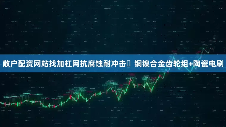 散户配资网站找加杠网抗腐蚀耐冲击・铜镍合金齿轮组+陶瓷电刷
