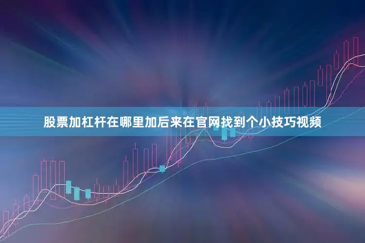 股票加杠杆在哪里加后来在官网找到个小技巧视频
