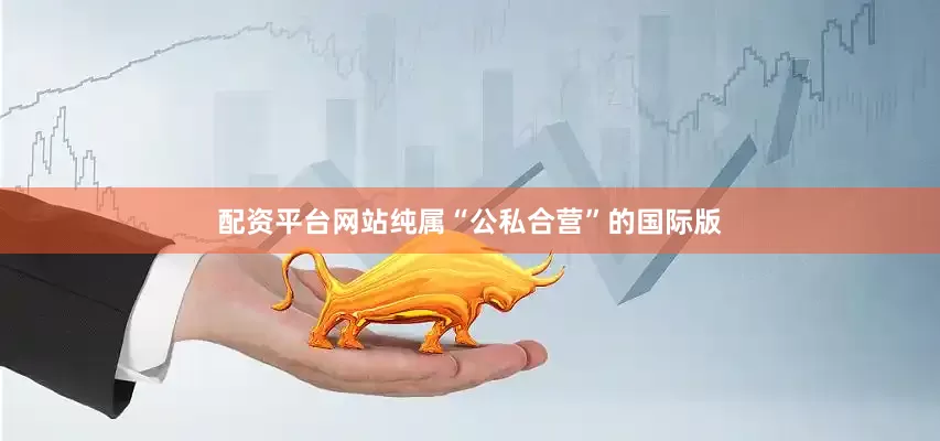 配资平台网站纯属“公私合营”的国际版